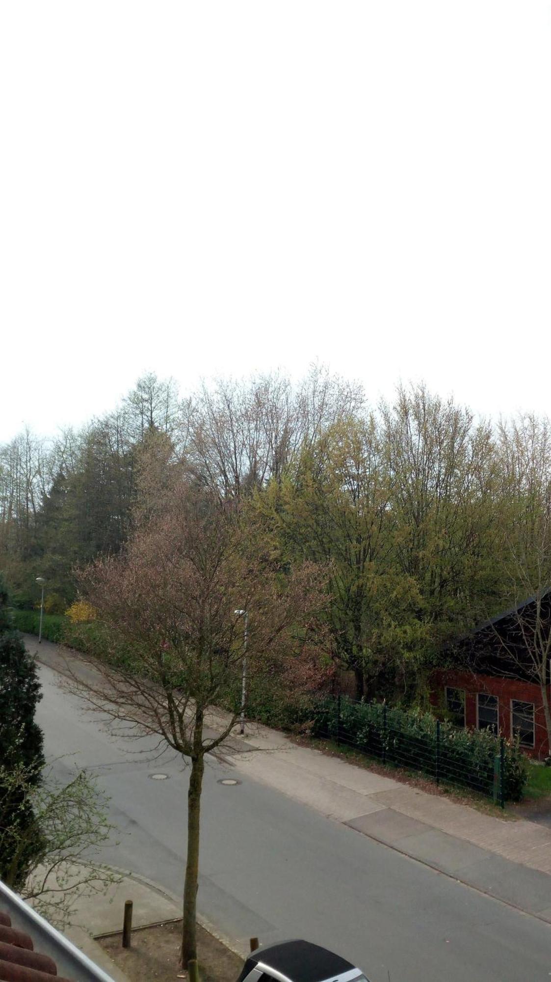 Ferienwohnung Mit Loggia Munique Exterior foto