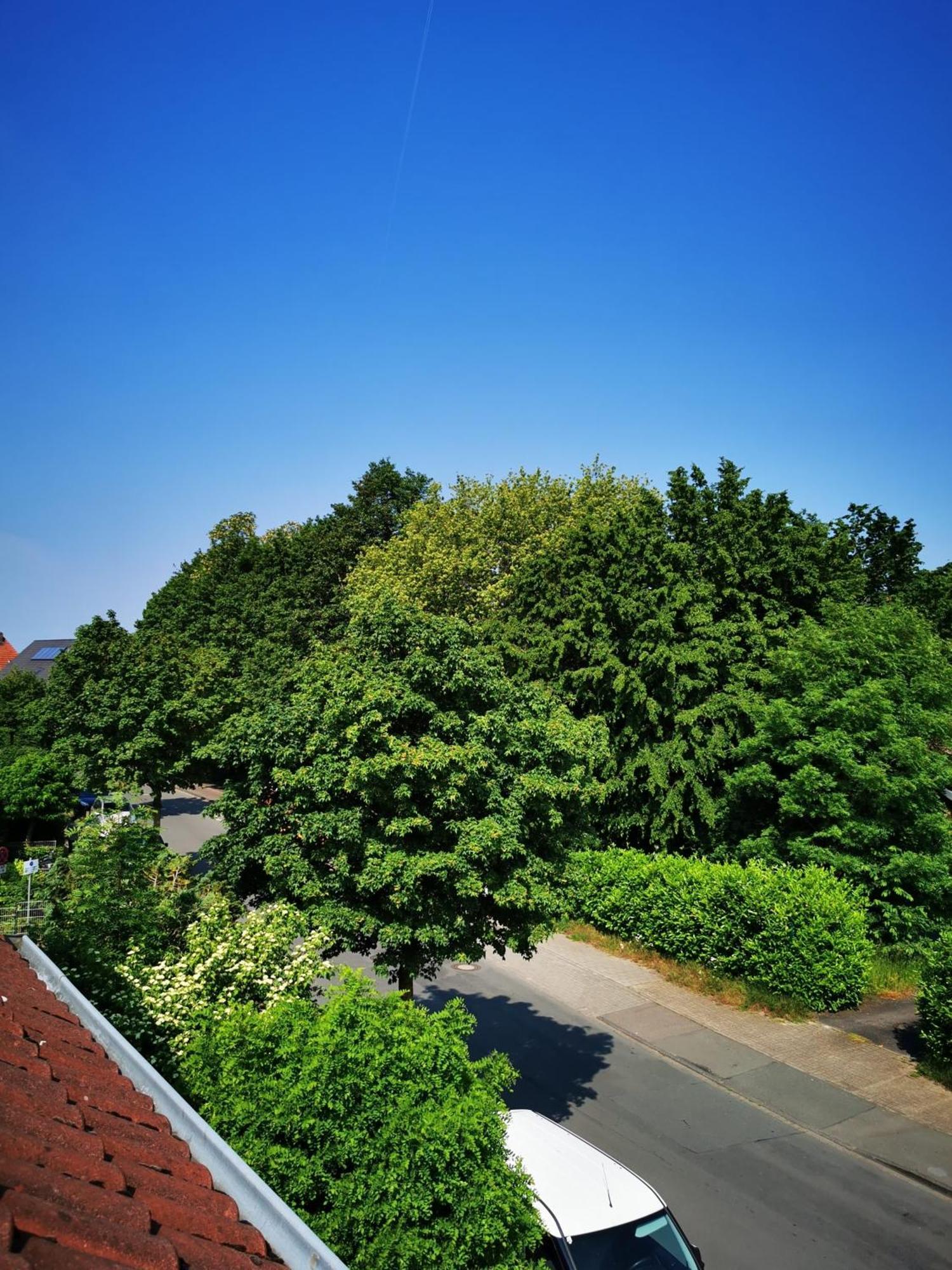 Ferienwohnung Mit Loggia Munique Exterior foto